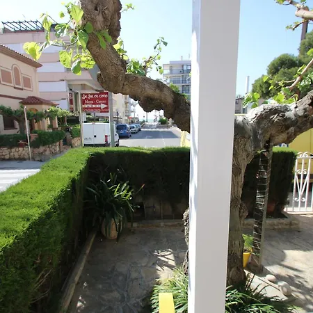 Cinta Villa