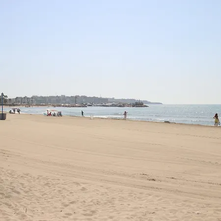 Cinta Salou