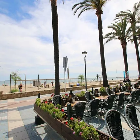 Cinta Salou